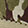 Athleisure HEYDUDE Wally Camo Flag, Brown Camo, swatch