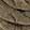  Women's Charlotte Daniel Cable-Knit Eternity Scarf, Beige, swatch