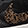  Nike Revolution 8, Black/Leopard, swatch