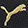  PUMA Riaze Prowl, Black/Gold/Leopard, swatch
