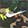 Green Camo/Orange/Yellow