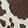  Jellypop Buddy, White/Brown, swatch