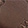  Tommy Hilfiger Clemons 2, Brown, swatch