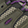 Brown/Purple