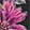 Handbags Lily Bloom Pretty Floral Landon Satchel, Black/Multi-Color, swatch